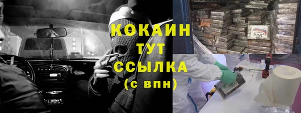PSILOCYBIN Козельск