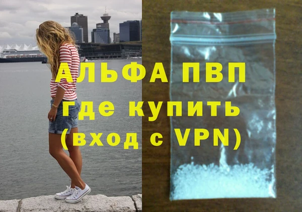 PSILOCYBIN Козельск