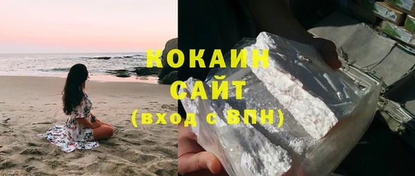 ГАЛЛЮЦИНОГЕННЫЕ ГРИБЫ Козловка